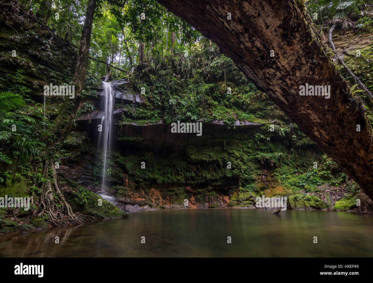 Long exposure of a remote small waterfall and its pool with rock face surround in Lambir Hills National Park, Miri, Borneo, Malaysia. Stock Photo