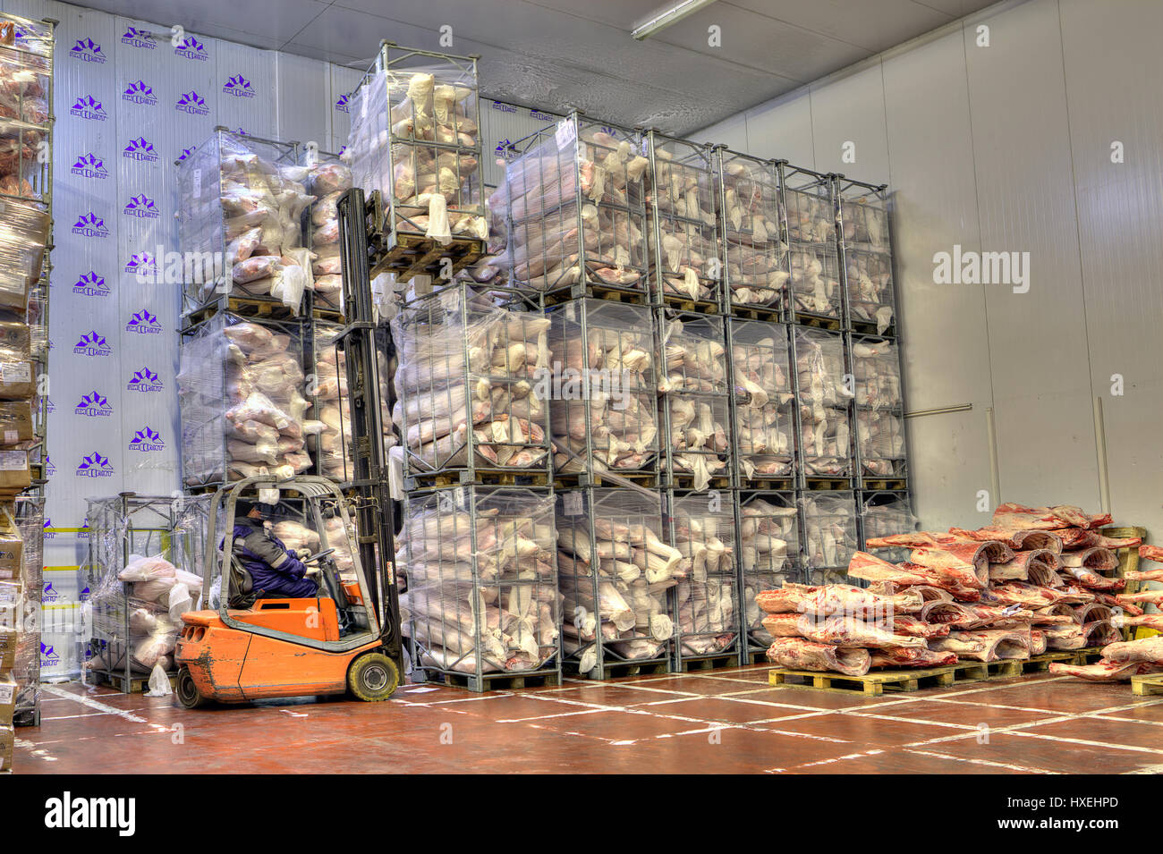Saint-Petersburg, Russia - October 31, 2016: Forklift in Freezer, cold storage warehouse of meat products. Stock Photo