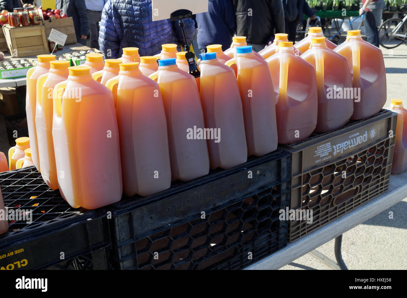 Jugs of fresh pressed apple cider for sale at a farmer's market. Stock Photo