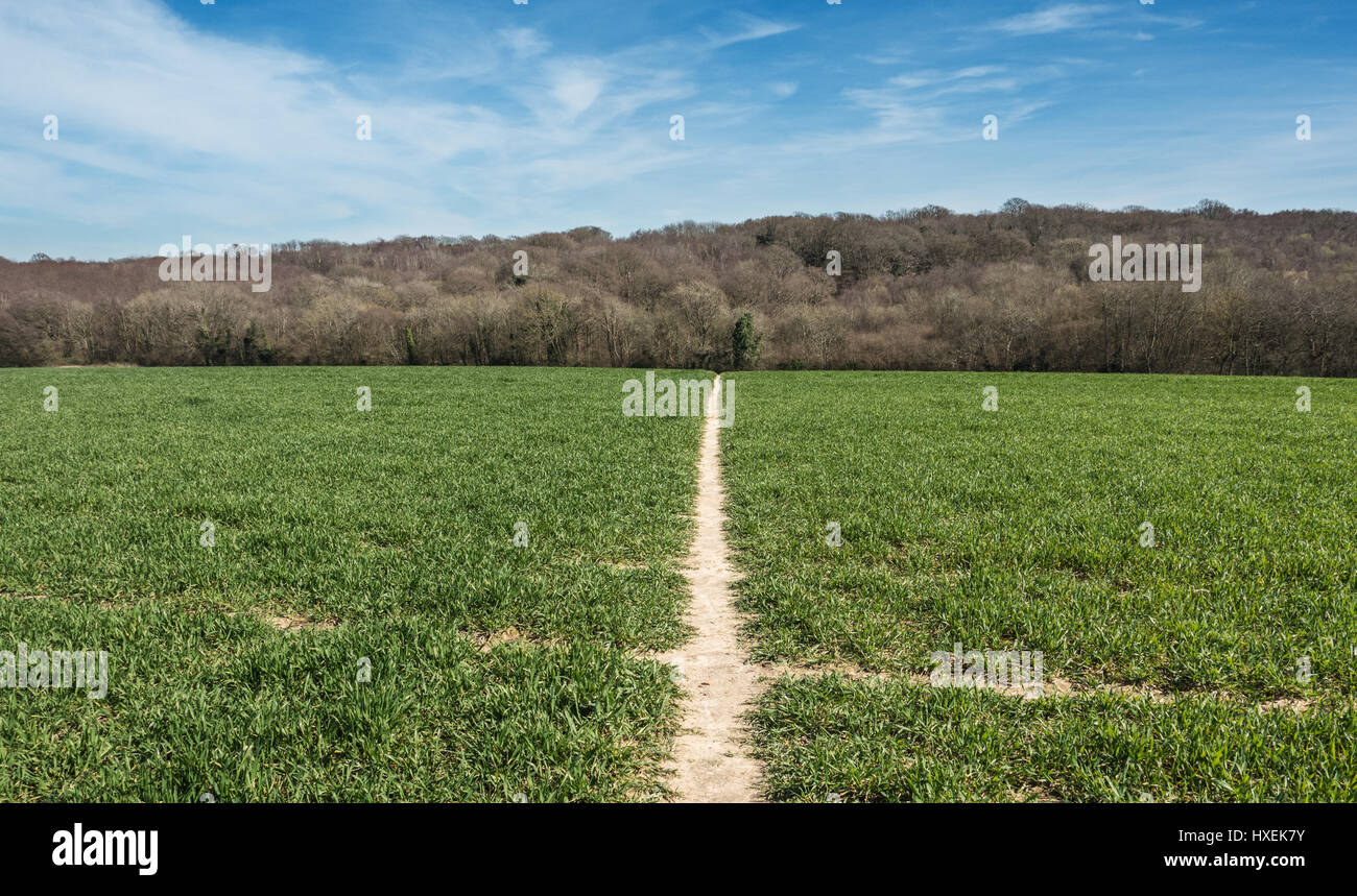 Straight path runnng through field Stock Photo
