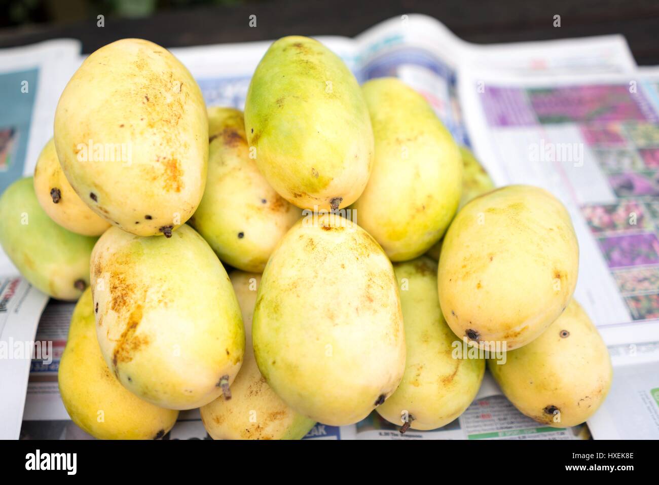 Philippines yellow mangoes Stock Photo Alamy