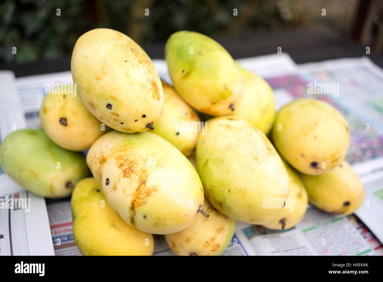 Philippines yellow mangoes Stock Photo Alamy