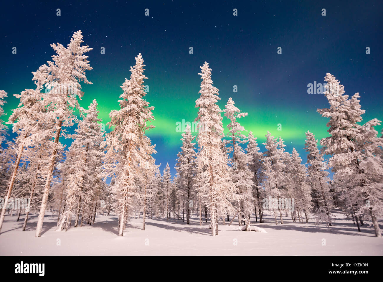 Northern lights, Aurora Borealis in Lapland, Finland Stock Photo