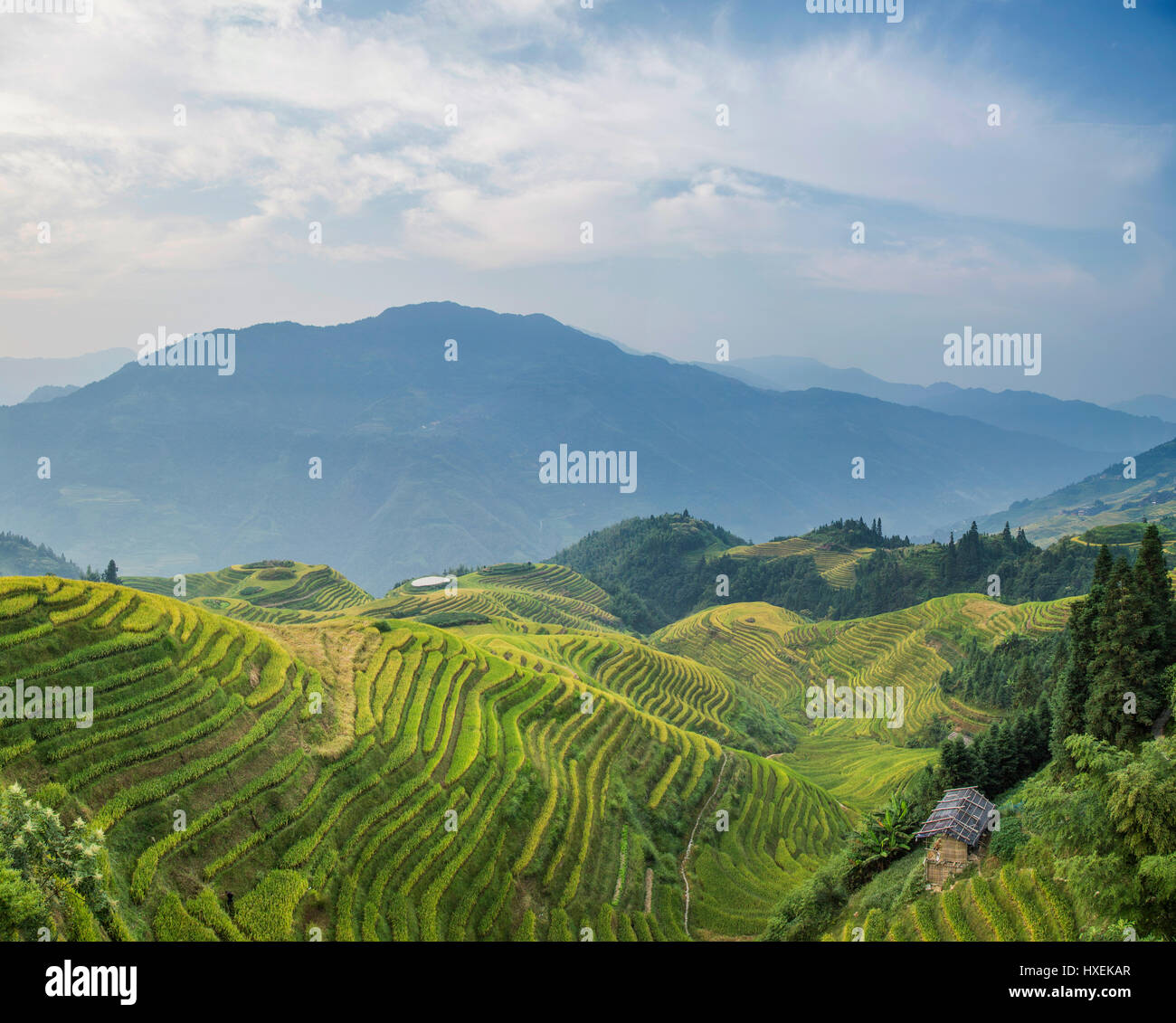 pingan landscape Stock Photo