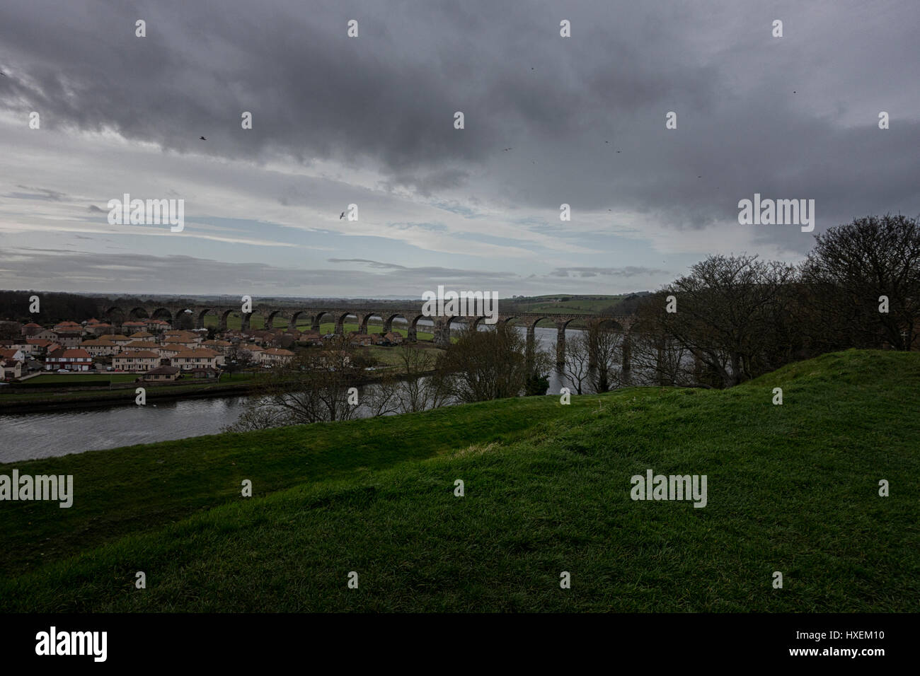 The River Tweed at Berwick-upon-Tweed, Northumberland, England, UK Stock Photo