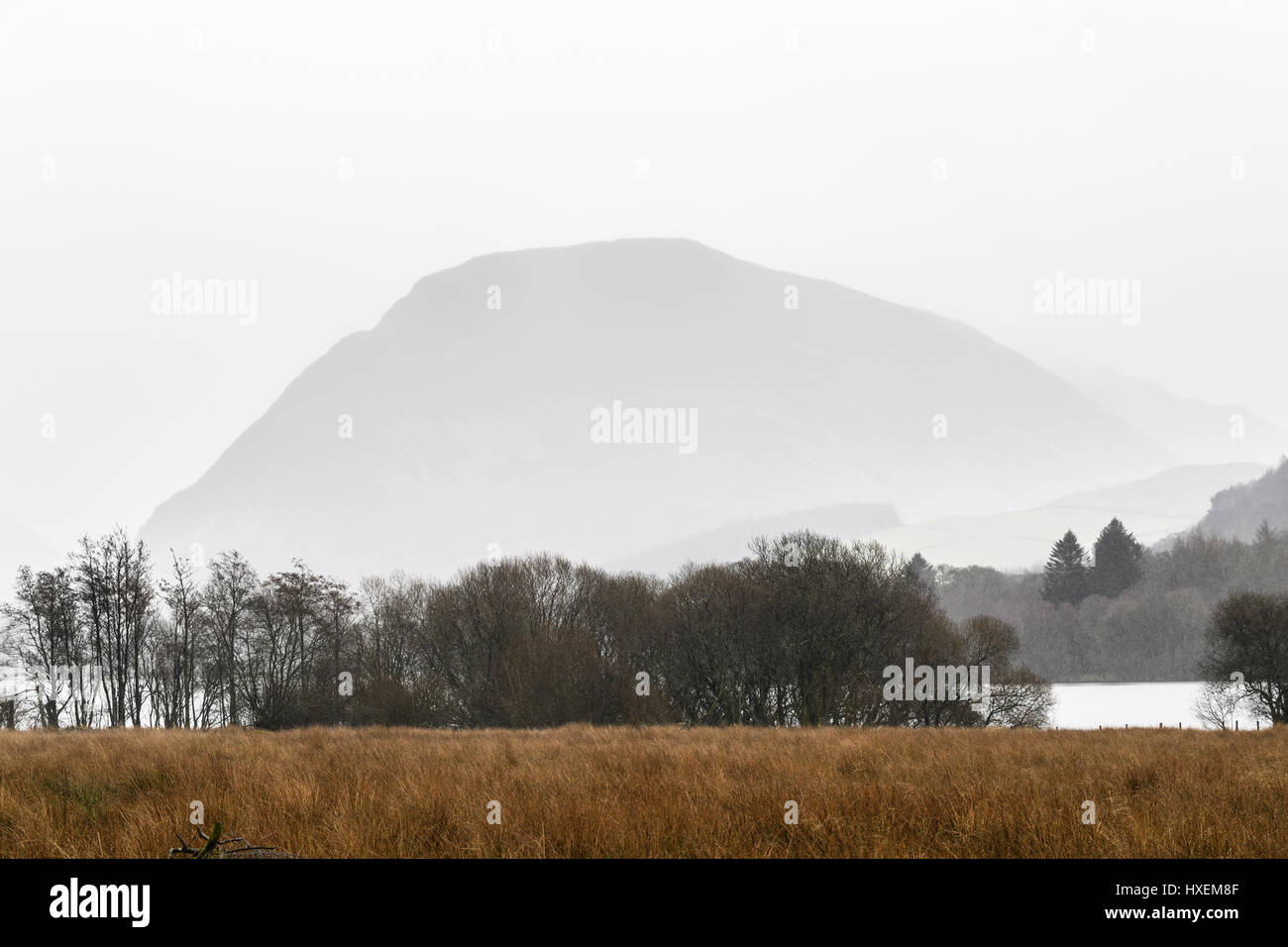 Carling Knott, Loweswater, Lake District, Cumbria, England. Stock Photo