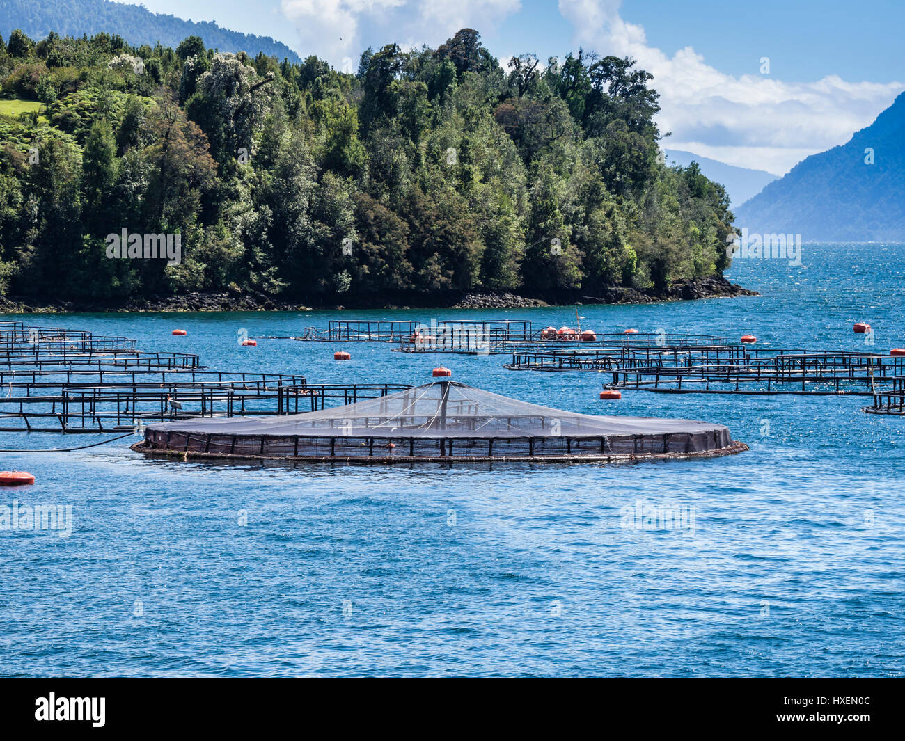 farm, salmon, aquaculture in seen from ferry to Hornapiren, Patagonia, Chile Stock Photo -