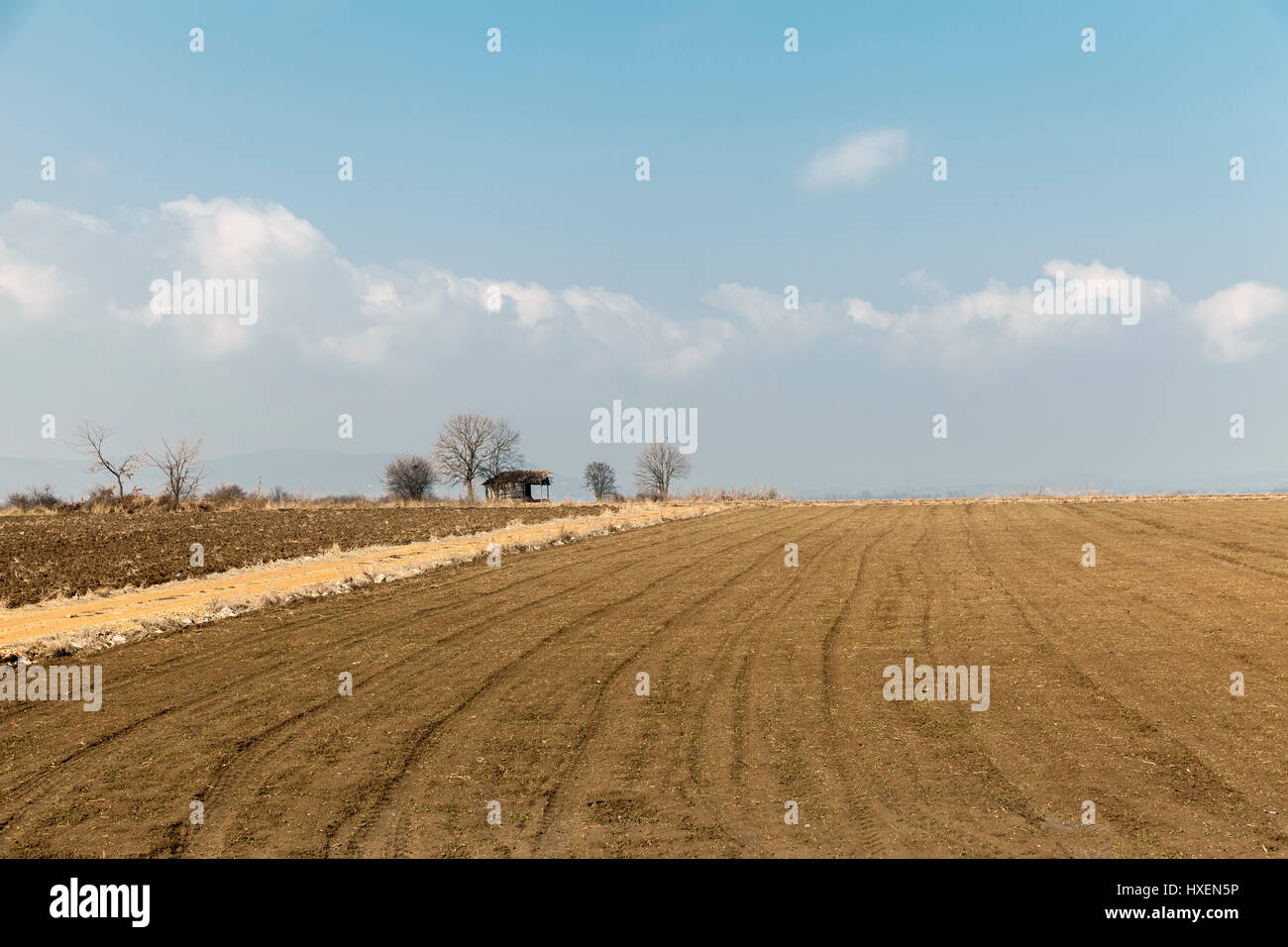 Fields And Meadows in late winter Stock Photo