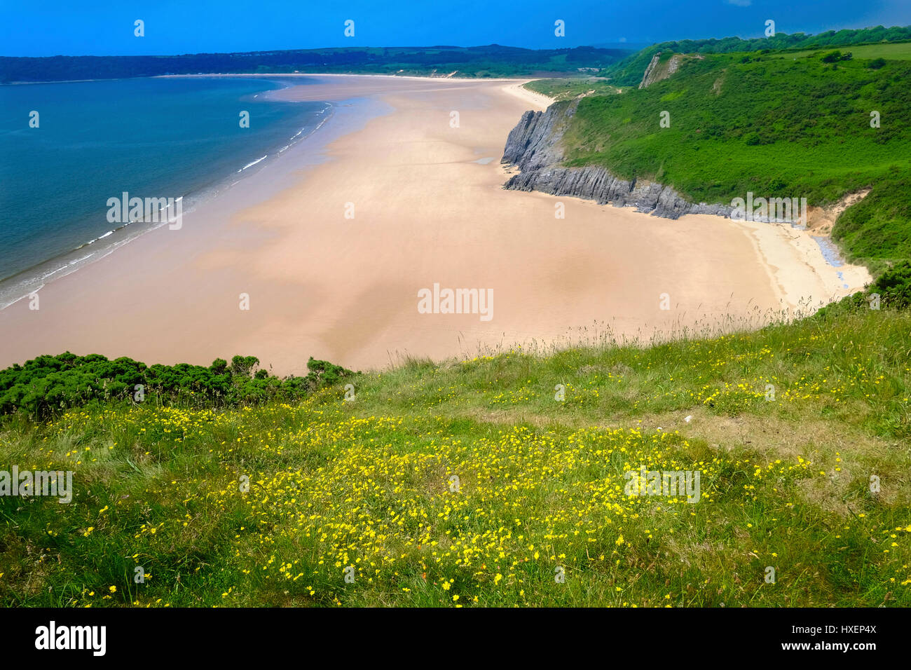 Tor Bay on the Pembrokeshire Coastal Path on the Gower Peninsula, South Wales (UK) with Oxwich Bay in the distance. Stock Photo