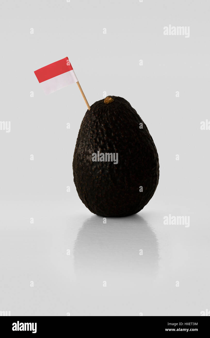 Isolated avocado with Indonesian flag Stock Photo