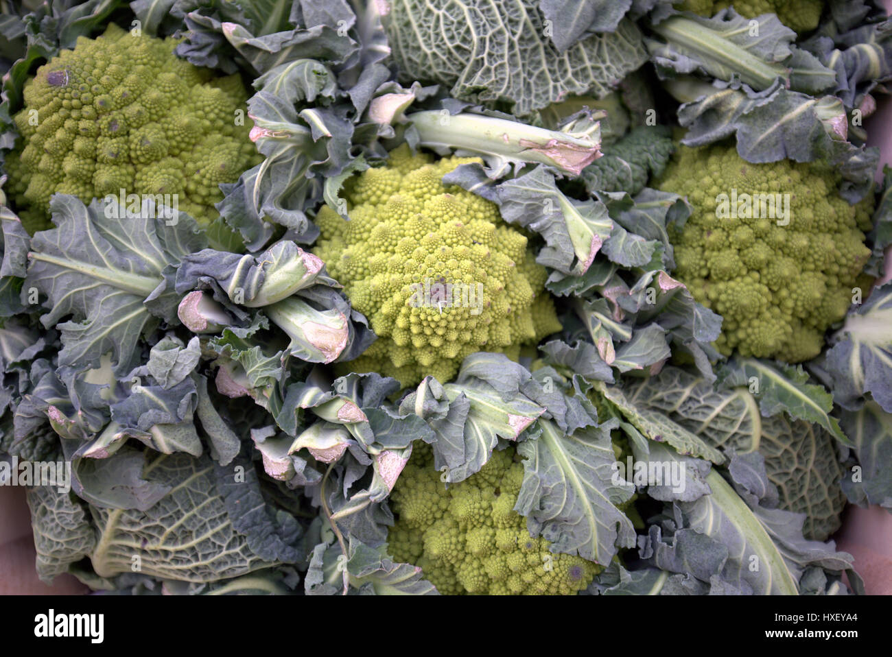fruit and vegetable stall organic Romanesco broccoli Stock Photo