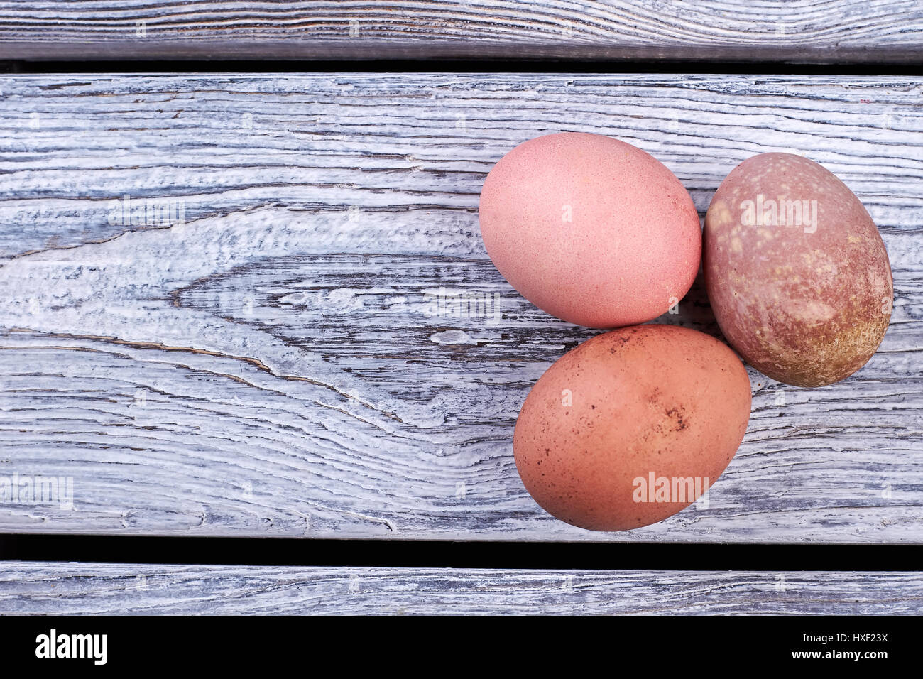 Group of chicken eggs Stock Photo Alamy
