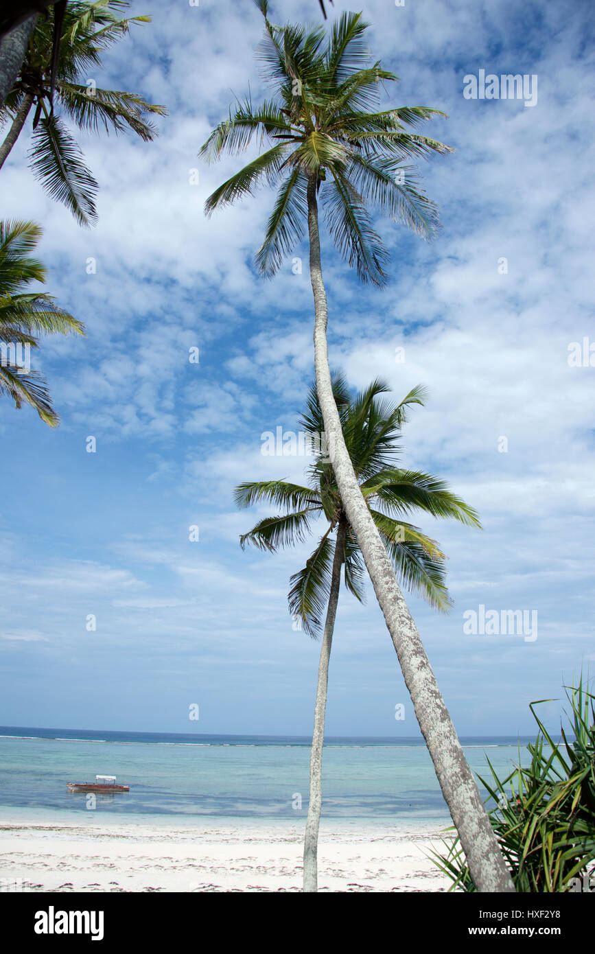 Matemwe Beach, Zanzibar island, Tanzania, Africa Stock Photo - Alamy