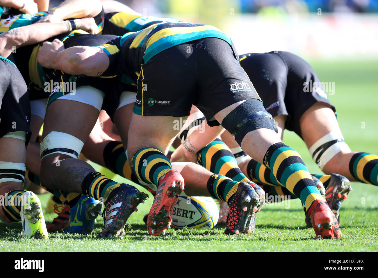 Adidas rugby hi-res stock photography and images - Alamy