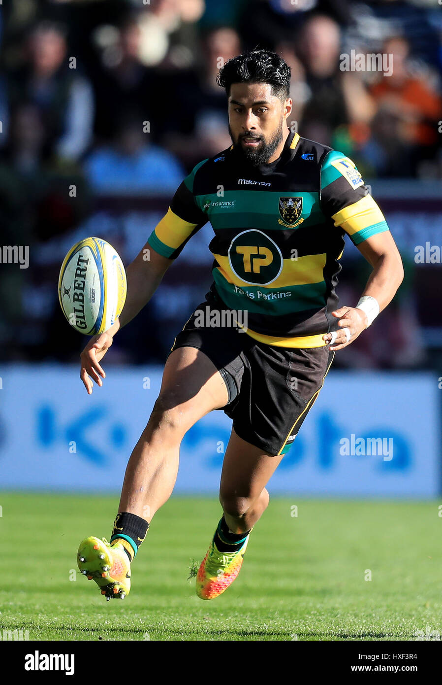 Ahsee Tuala, Northampton Saints Stock Photo Alamy