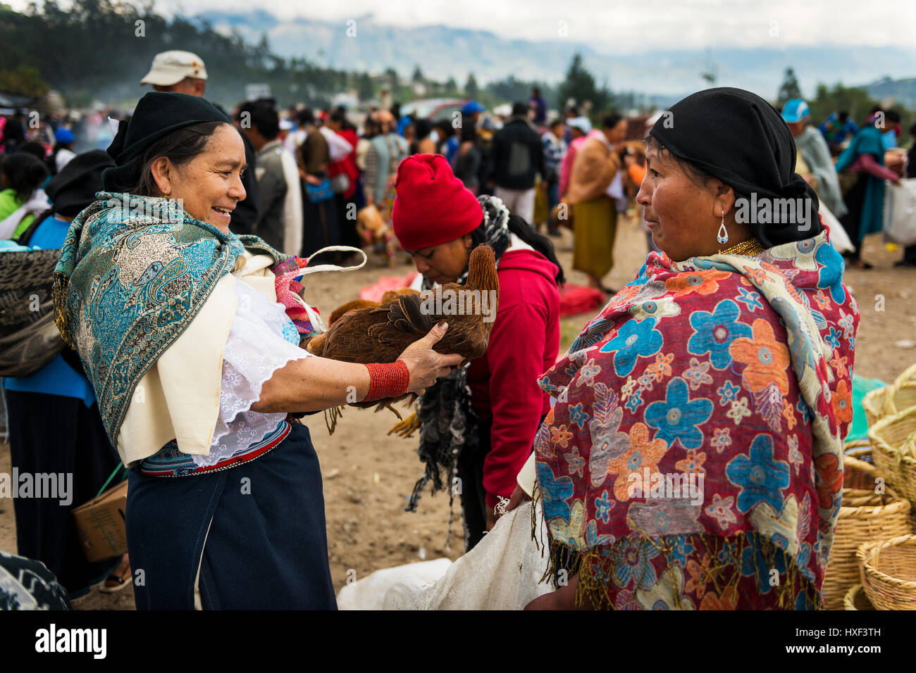 Otavalo, Ecuador - February 1, 2014: Woman selling a chicken at the livestock market of the town of Otavalo in Ecuador. Stock Photo