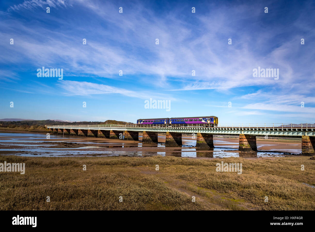 A Northern rail diesel train on the Eskmeals viaduct over the river Esk in Cumbria. Stock Photo