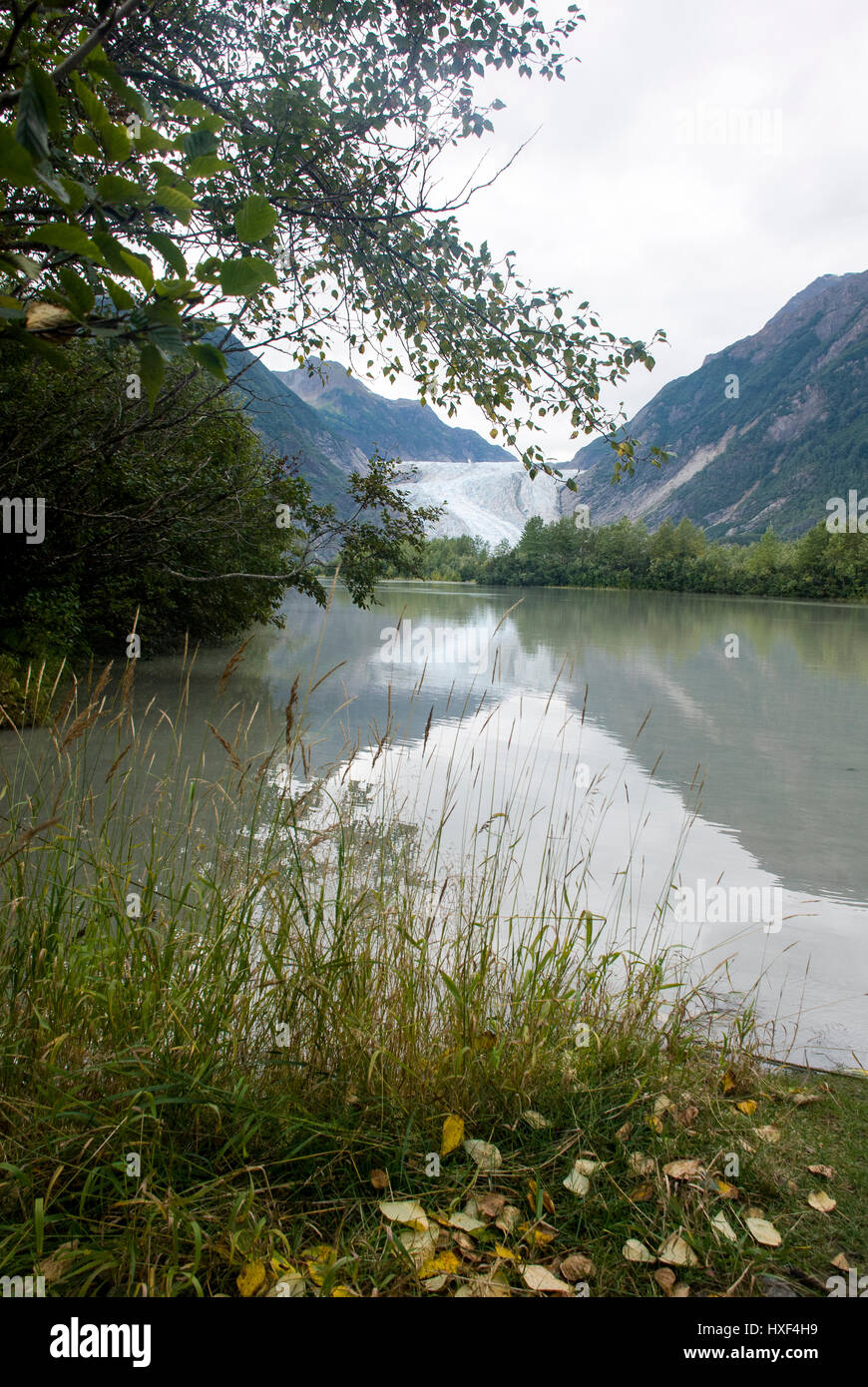 USA Alaska, The Glacier Point Wilderness Safari, Davidson Glacier