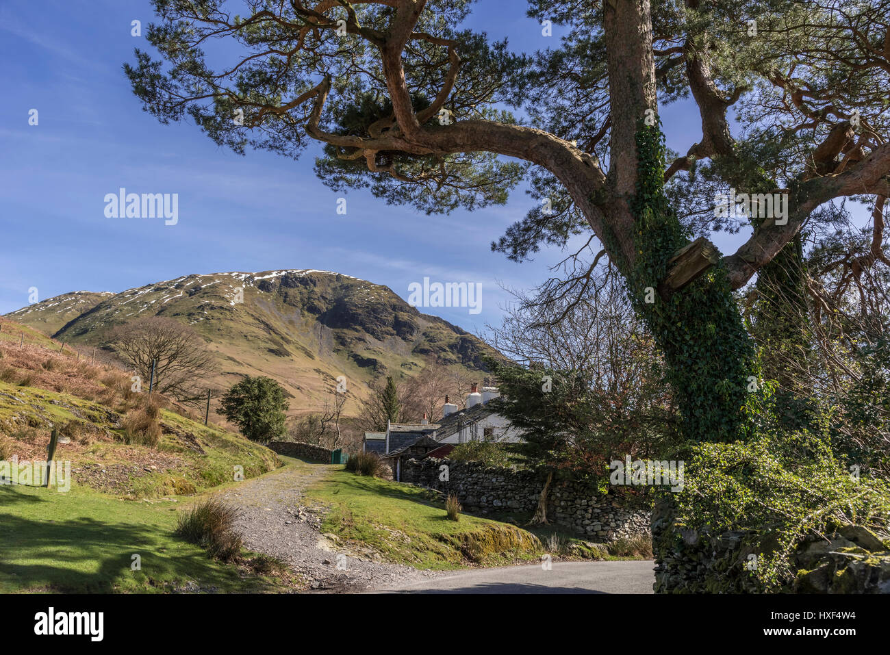Lakeland hills and homes at Buttermere Lake district Stock Photo - Alamy