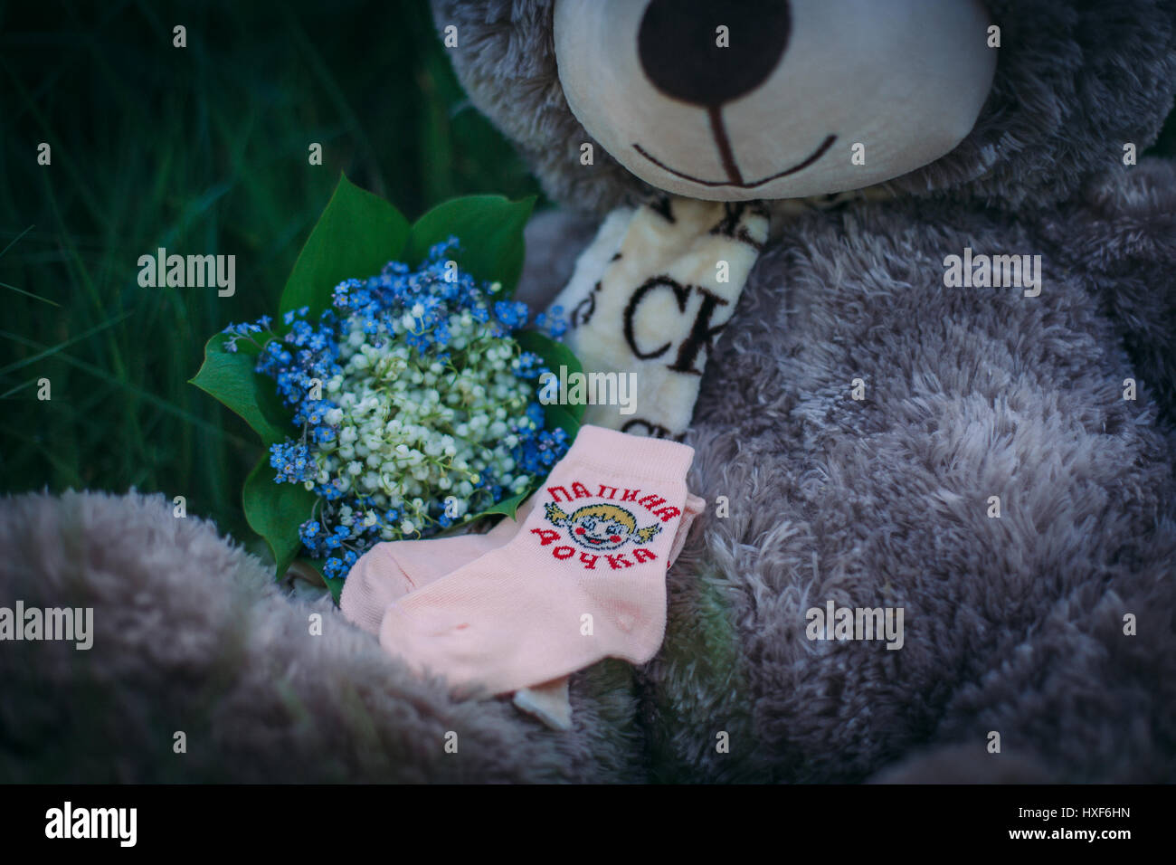 booties and teddy bear Stock Photo - Alamy
