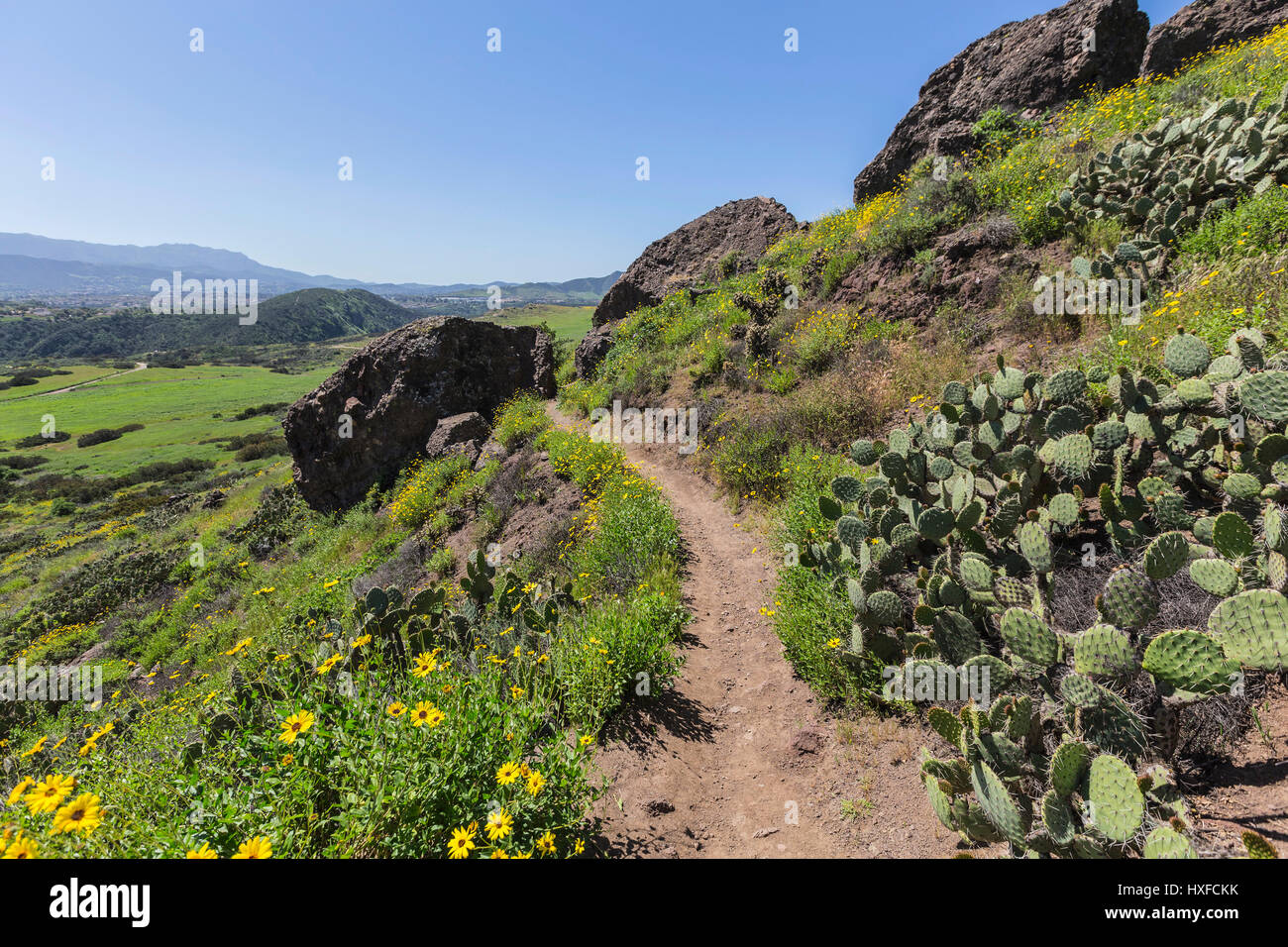 Green hillside trail in Wildwood Regional Park in the Thousand Oaks community of Ventura County, California. Stock Photo