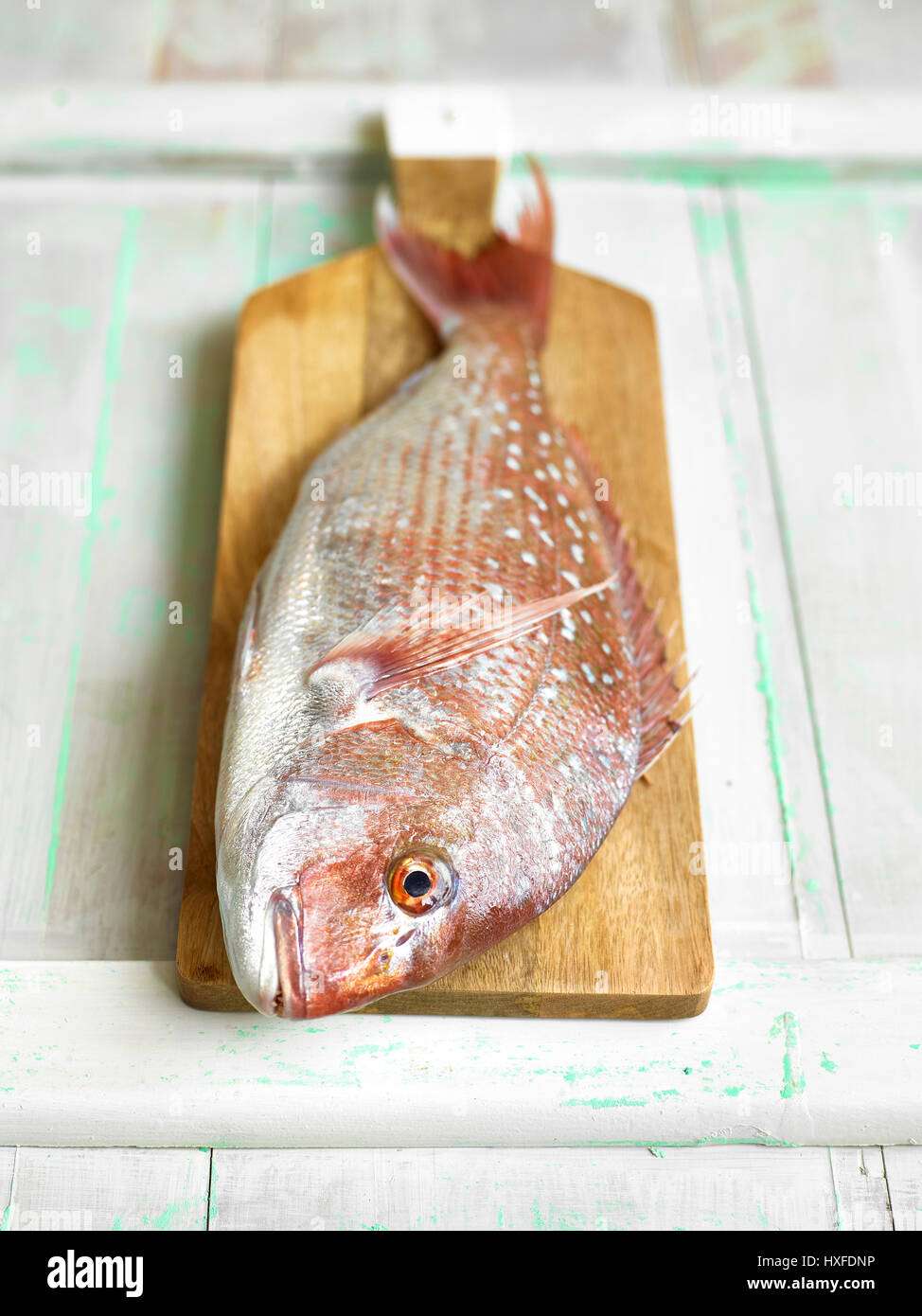 Fresh red snapper fish on chopping board ready for filleting Stock