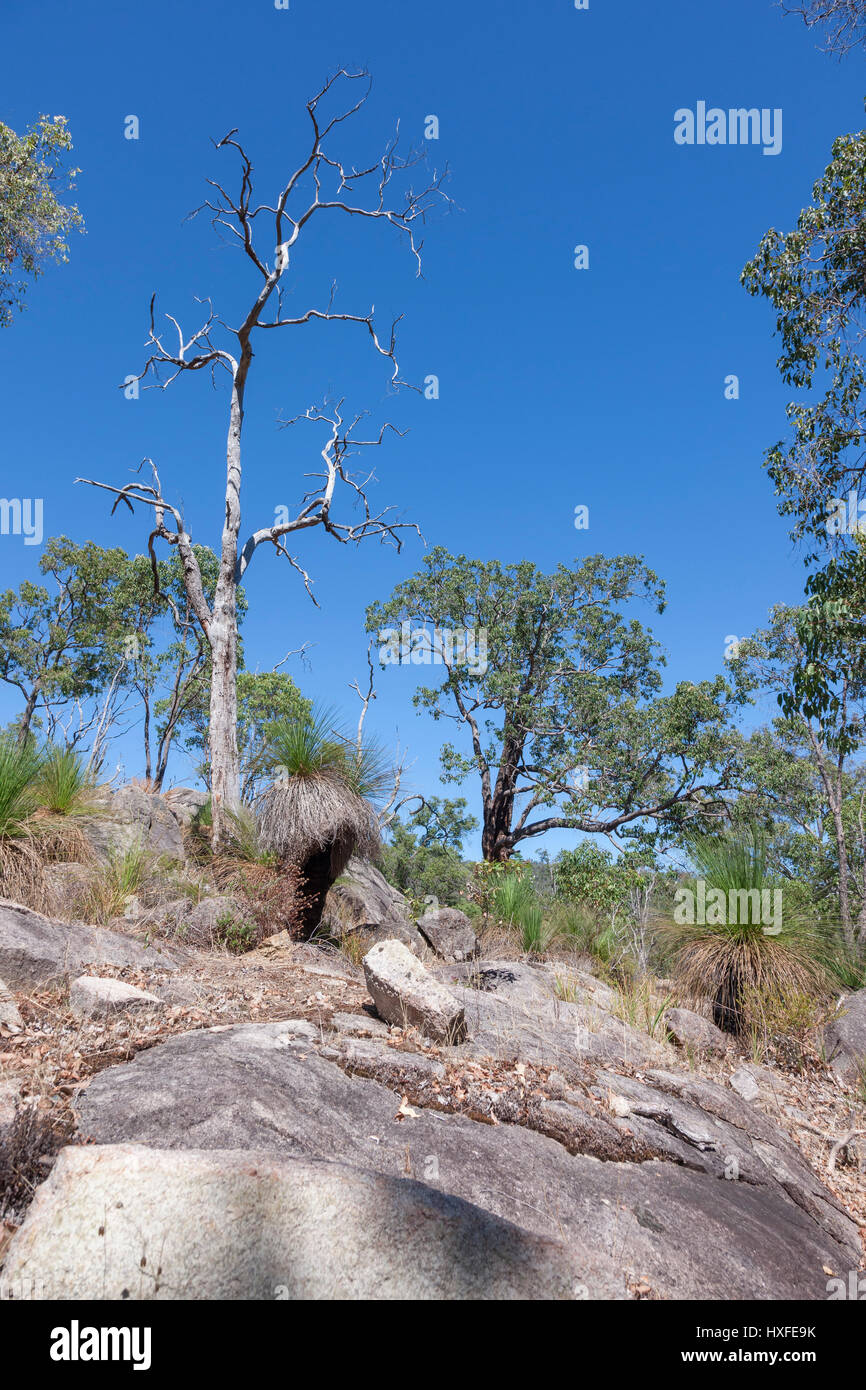 Mundaring weir reservoir area, Western Australia, near Perth Stock ...