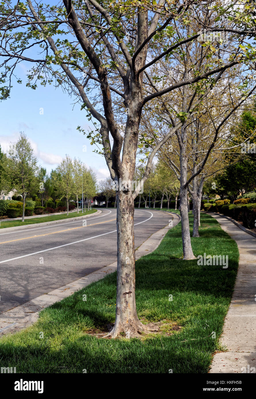 Curving street scene hi-res stock photography and images - Alamy