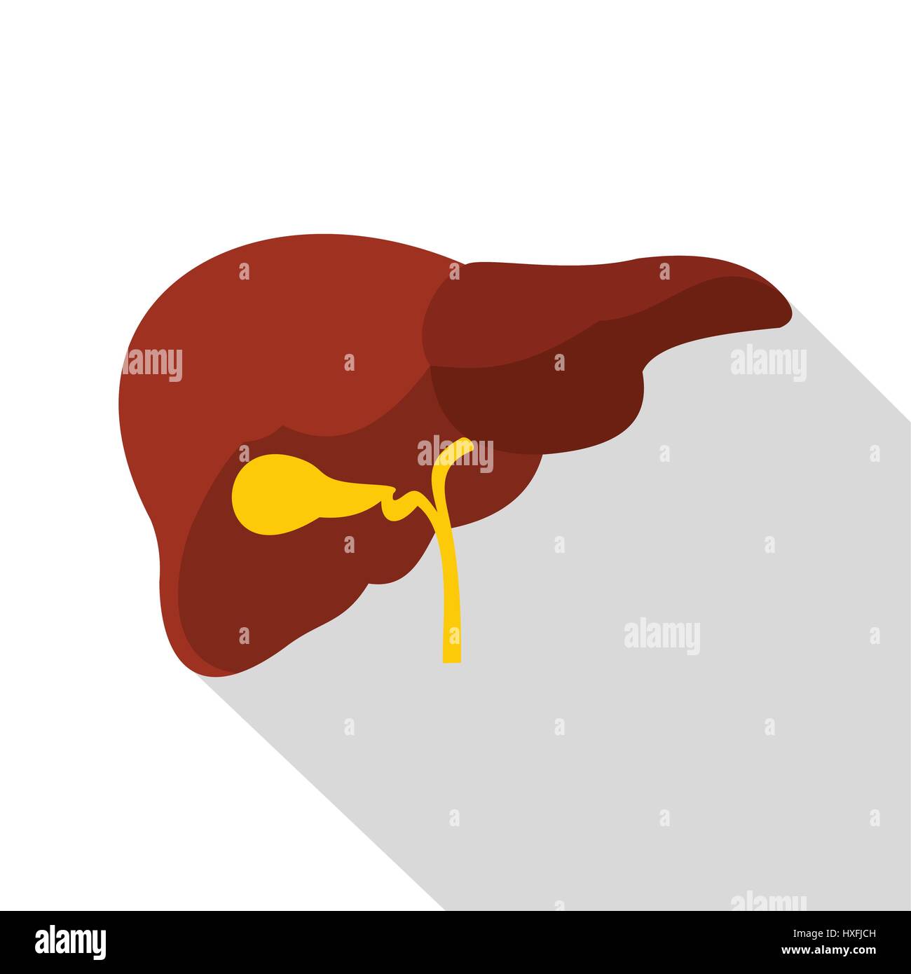 Liver icon, flat style Stock Vector Image & Art - Alamy