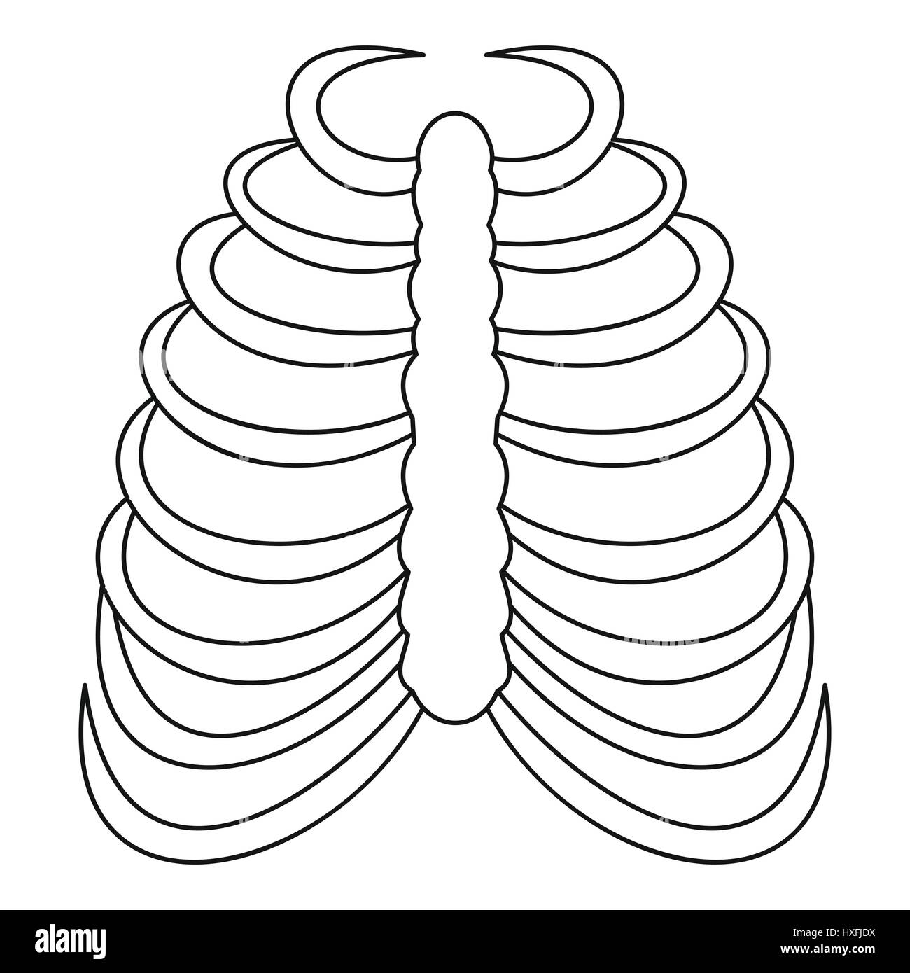 Rib Cage Illustration Black and White Stock Photos & Images - Alamy