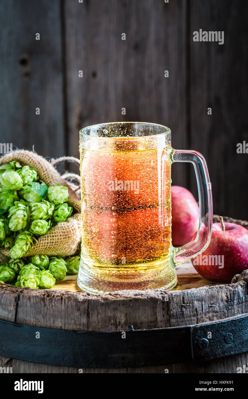 Cold cider beer with apples, wheat and hops Stock Photo