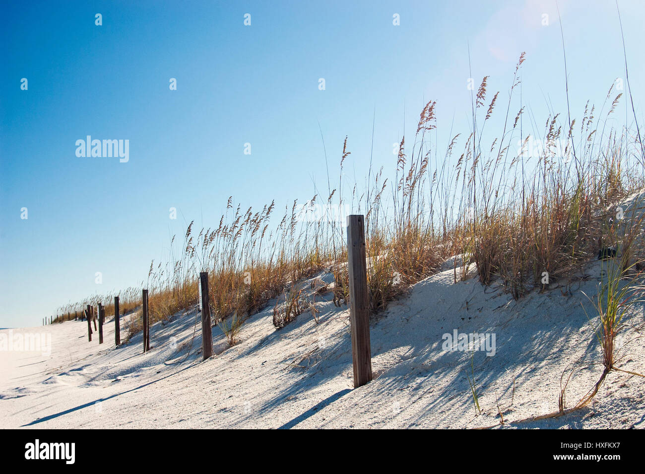 Gulf Coast beach sand dunes with barrier and sea oats. Stock Photo