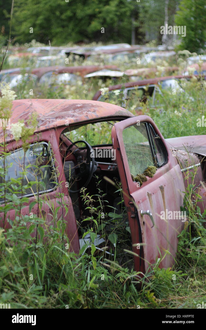 Car Cementary High Resolution Stock Photography and Images - Alamy