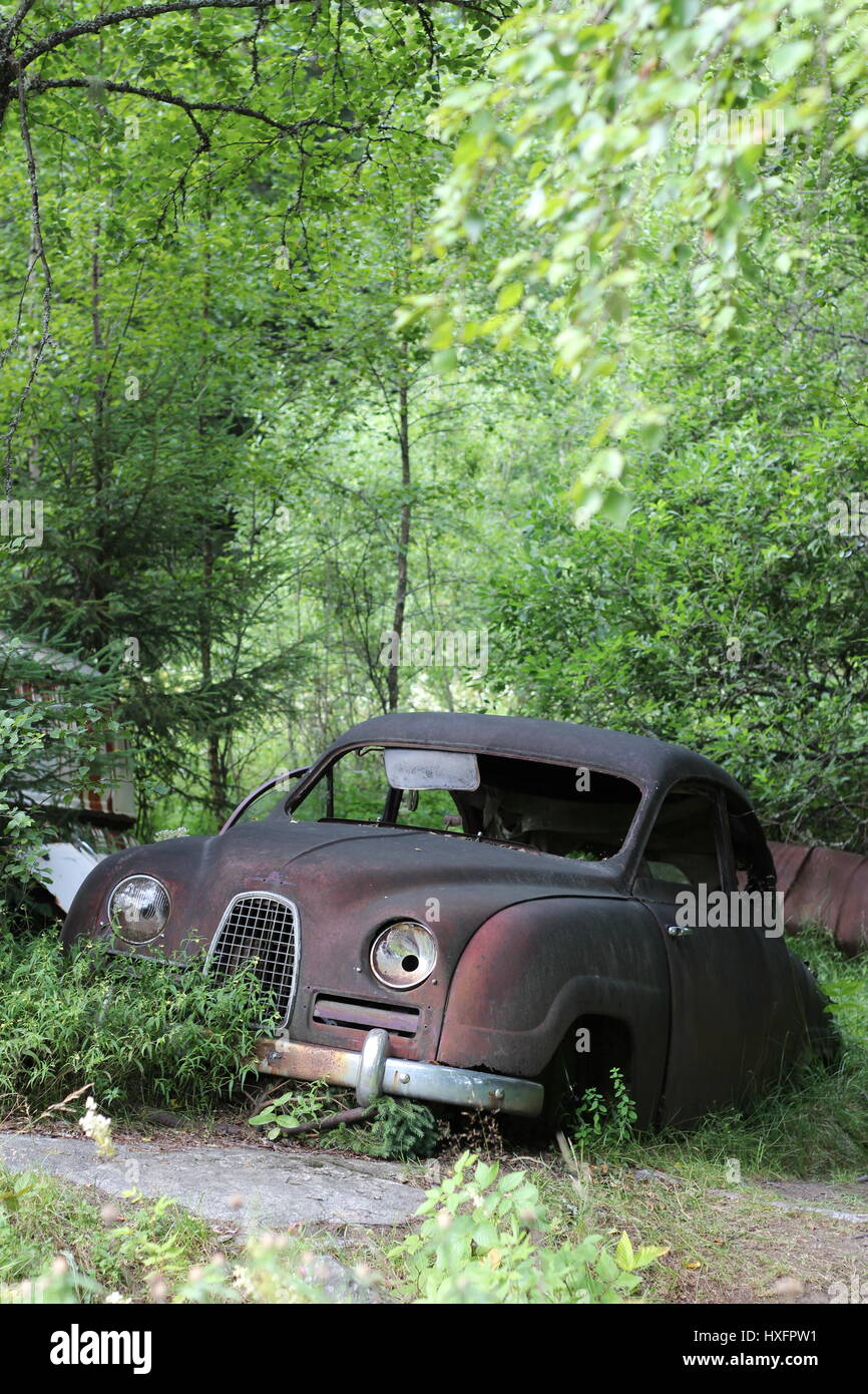 Classic car junkyard in Båstnäs, Sweden Stock Photo