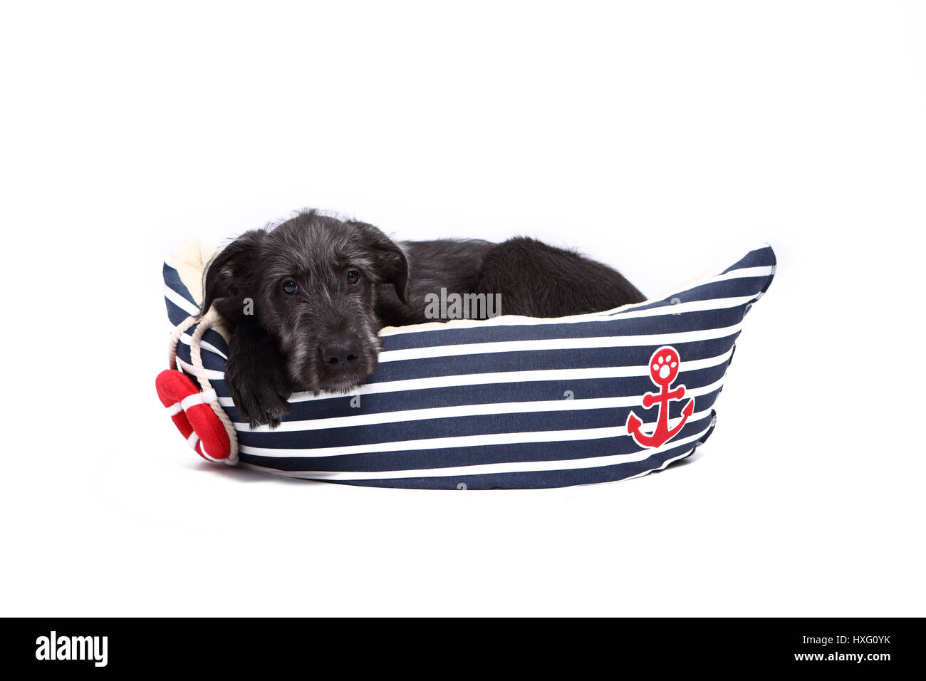 Antique Beds Shaped Like Boats