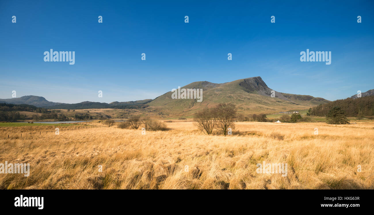 NORTH WALES, UK - MARCH 2017 - A VIEW OF THE BEDDGELERT VALLEY IN NORTH WALES WITH MOEL HEBOG IN THE DISTANCE Stock Photo