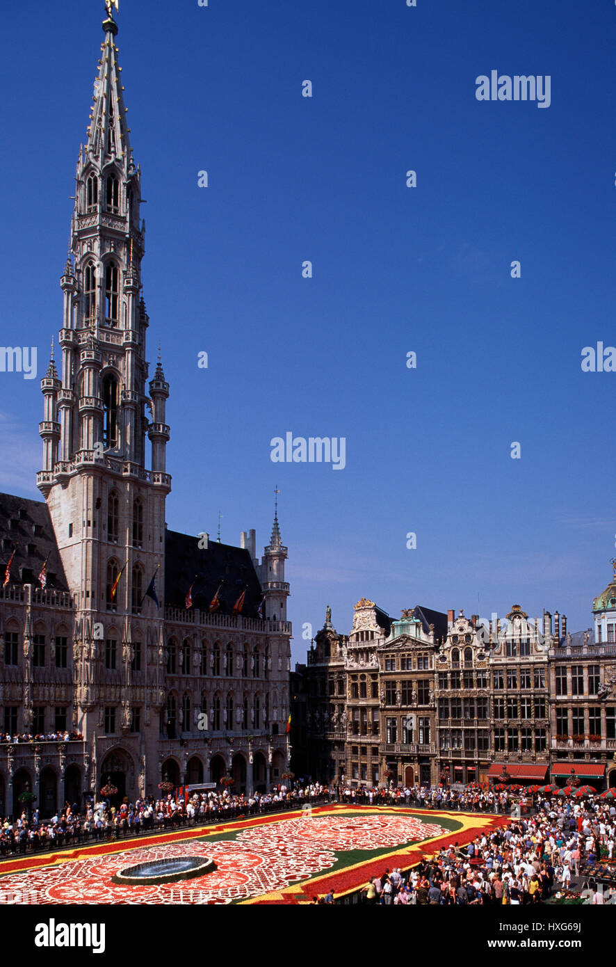 Hotel de Ville and flower carpet,  Grand Place Brussels Belgium Stock Photo