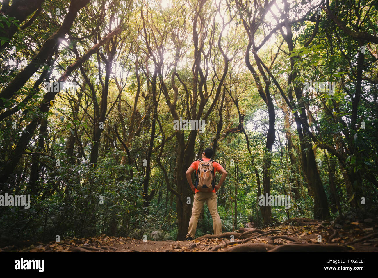 Young man hiking in majestic landscape in forest Stock Photo - Alamy