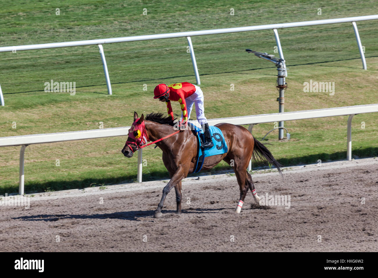 Hippodrome Race Track High Resolution Stock Photography And Images Alamy