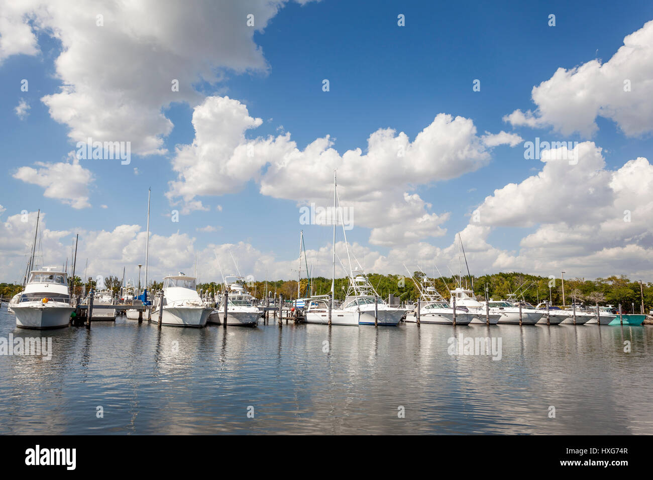 Yachts and fishing boats at the marina in Coral Gables. Miami, Florida, United States Stock Photo