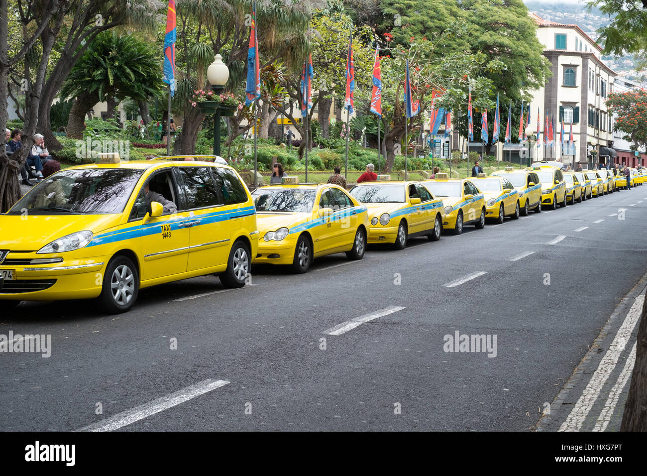 Yellow taxis at a taxi rank Funchal, Madeira Stock Photo