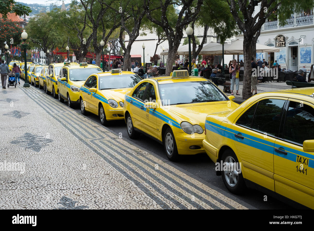 Yellow taxis at a taxi rank Funchal, Madeira Stock Photo 136811042 Alamy