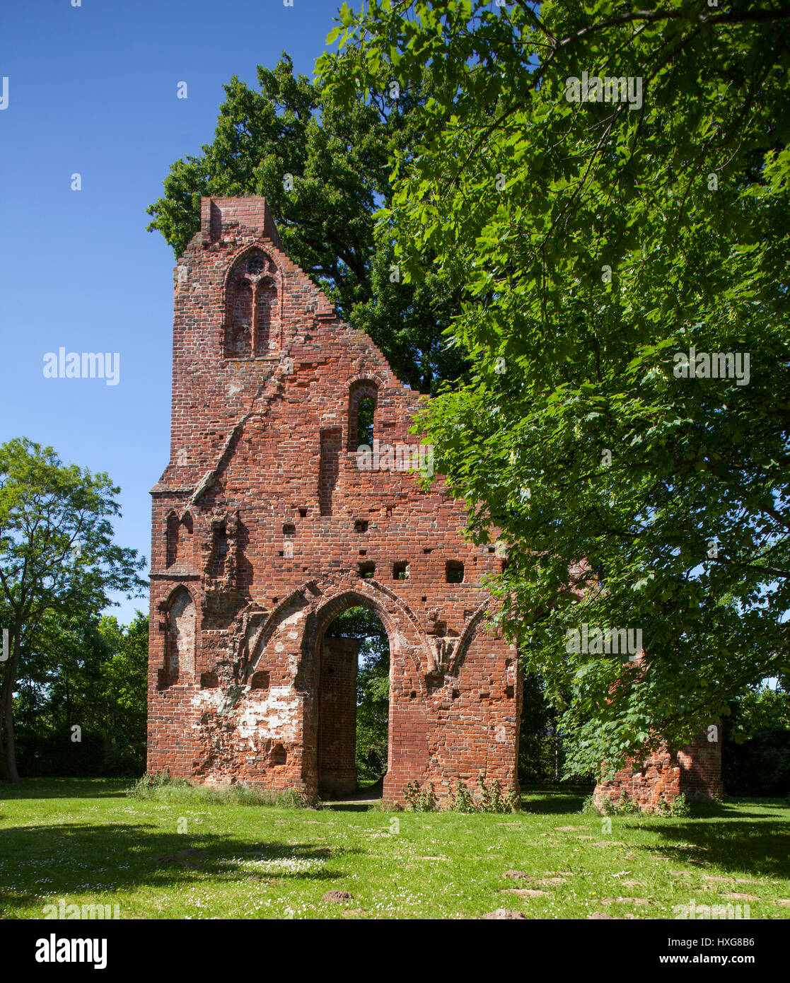 Klosterruine Eldena, Greifswald,  Mecklenburg-Vorpommern, Deutschland, Europa   I  Ruins of the Eldena Monastery, Greifswald, Mecklenburg-Vorpommern,  Stock Photo