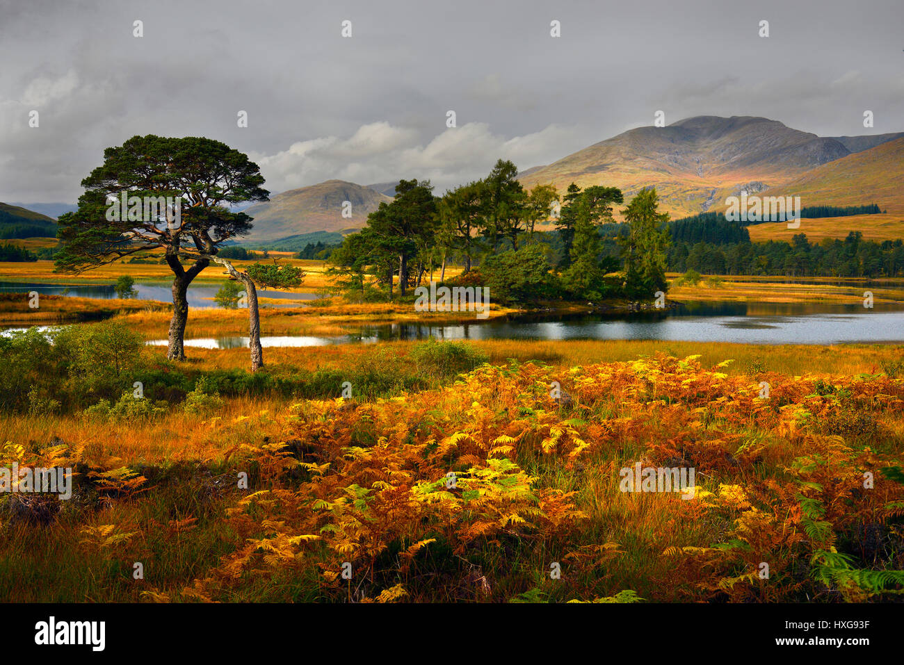 Grey skies over Loch Tulla Stock Photo