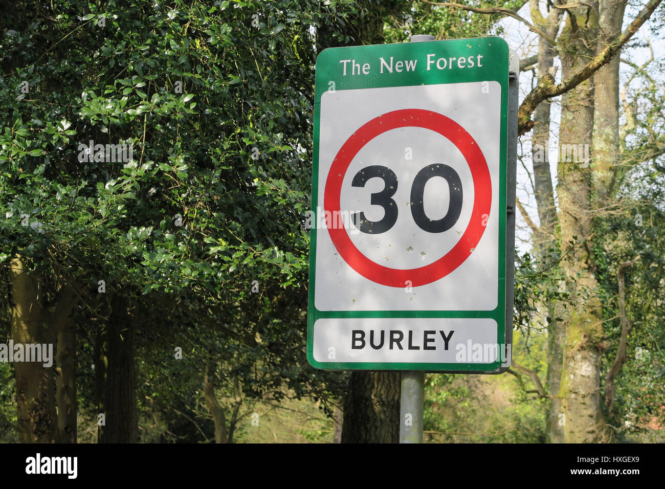 30mph road sign in Burley. To prevent animal deaths in The New Forest, cars are restricted to low speeds. Stock Photo
