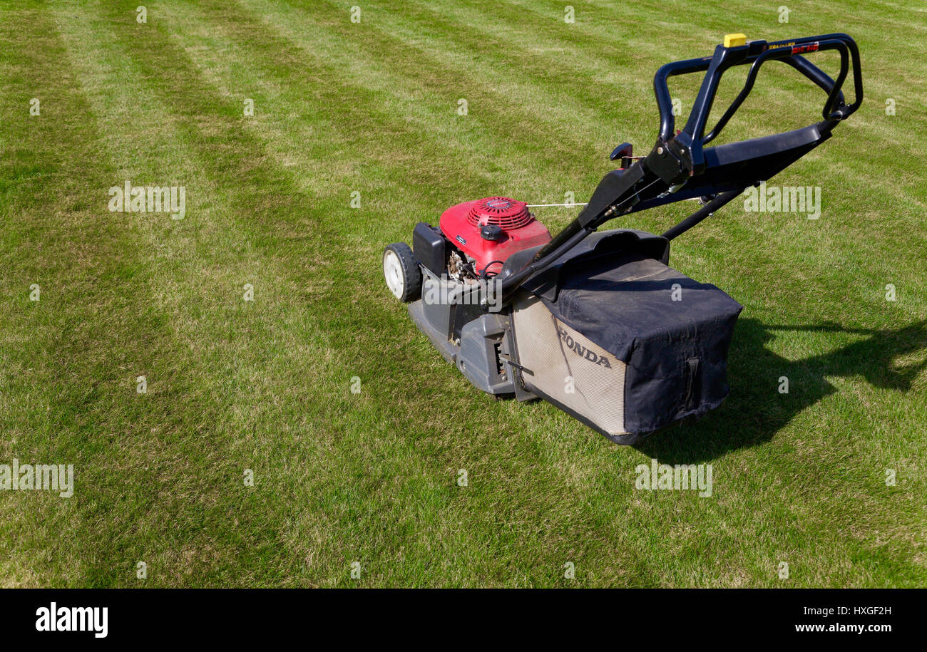 Honda lawnmower on newly mowed striped lawn Stock Photo