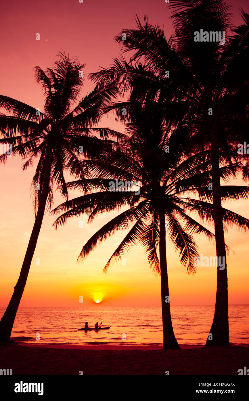 palm trees silhouette on sunset tropical beach. Tropical sunset Stock ...