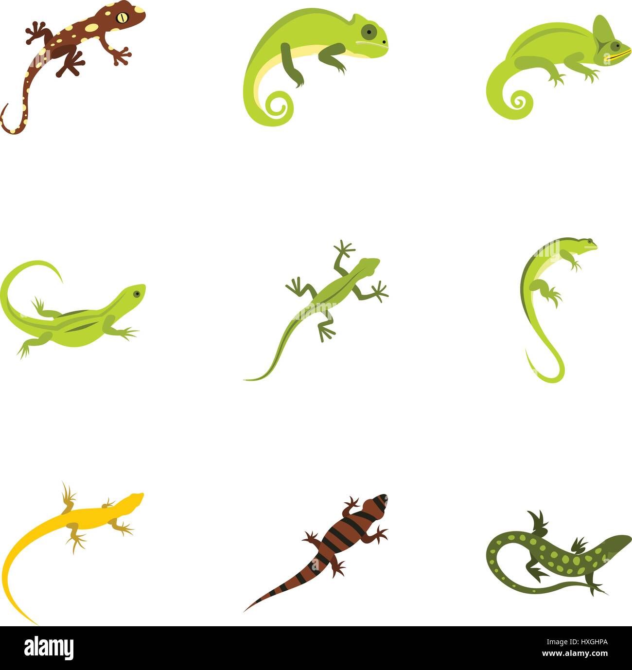 Types of iguana icons set, flat style Stock Vector Image & Art - Alamy