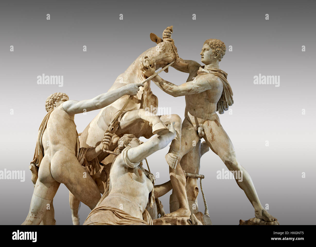 2nd century AD Roman sculpture known as the Farnese Bull Baths of Caracalla, Rome, Naples National Museum of Archaeology, Italy, Stock Photo