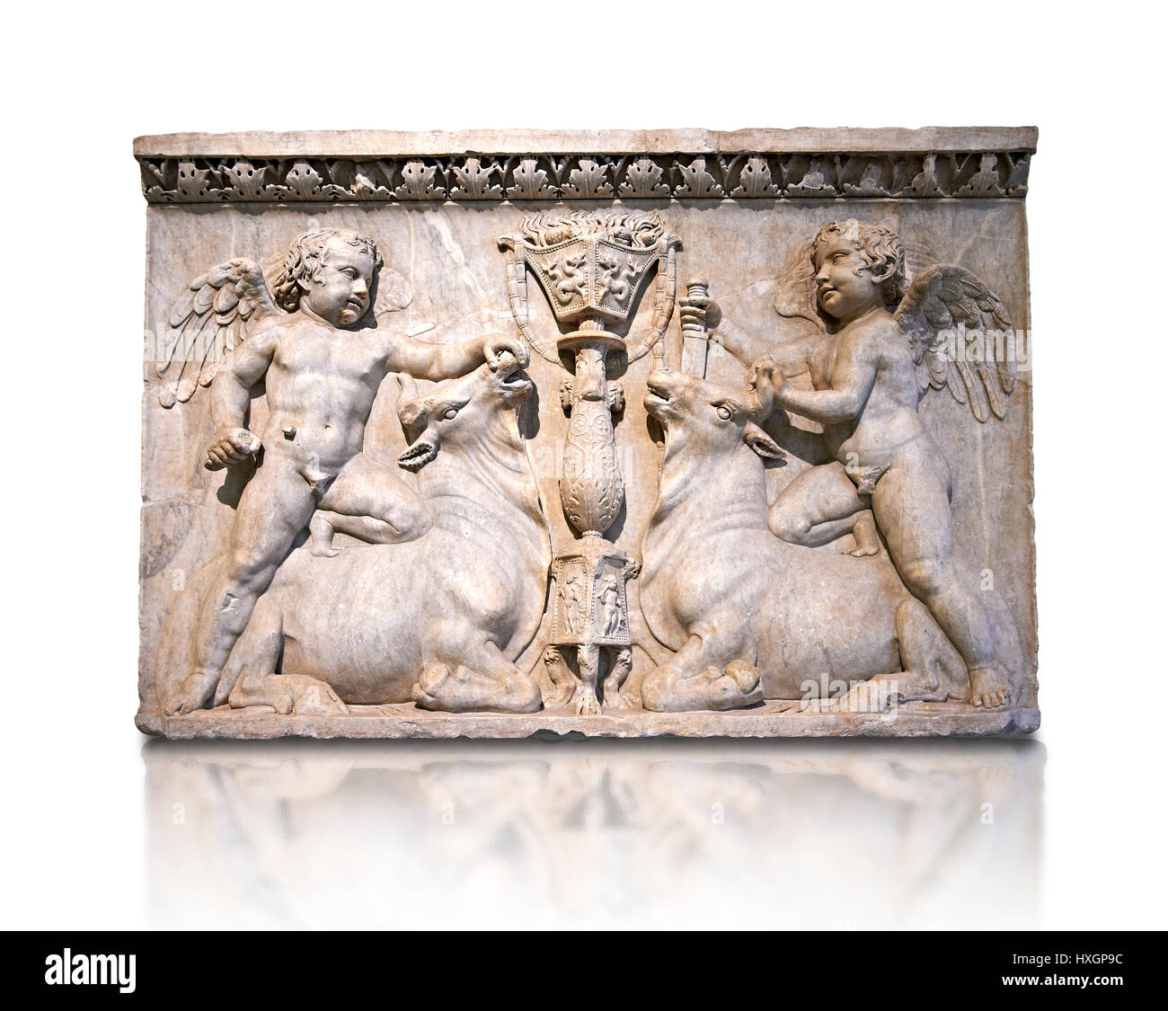 Roman sculptured relief with cupids sacrificing bulls,Temple of Venus Genetrix Rome 30 AD , inv 6718, Naples National Museum of Archaeology, Italy, Stock Photo